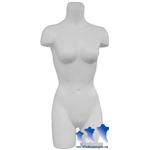 Deluxe Female 3/4 Torso - Ladies Size 5/6 